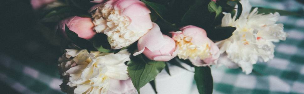 Celebrate Mother's Day Mother's Day